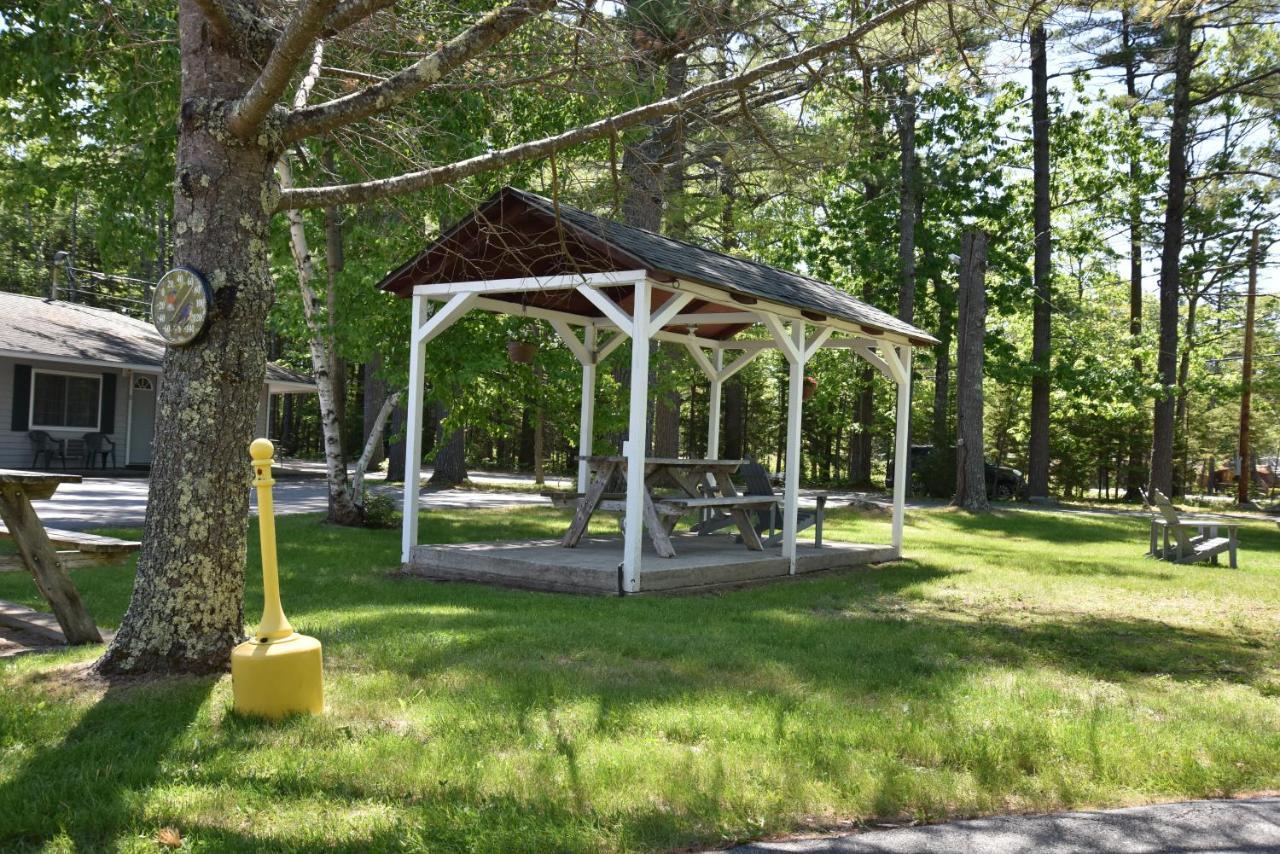 Acadia Pines Motel 바 하버 외부 사진